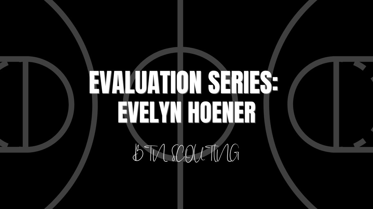 Evaluation Series: Evelyn Hoener